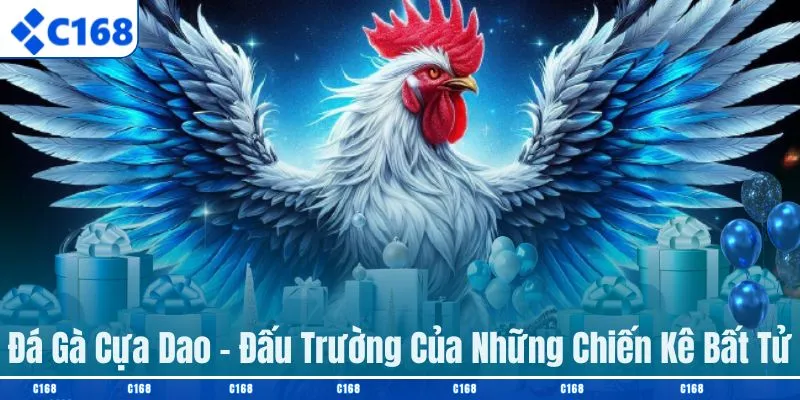 Đá gà cựa dao